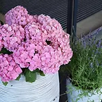 דירה Valentin Design